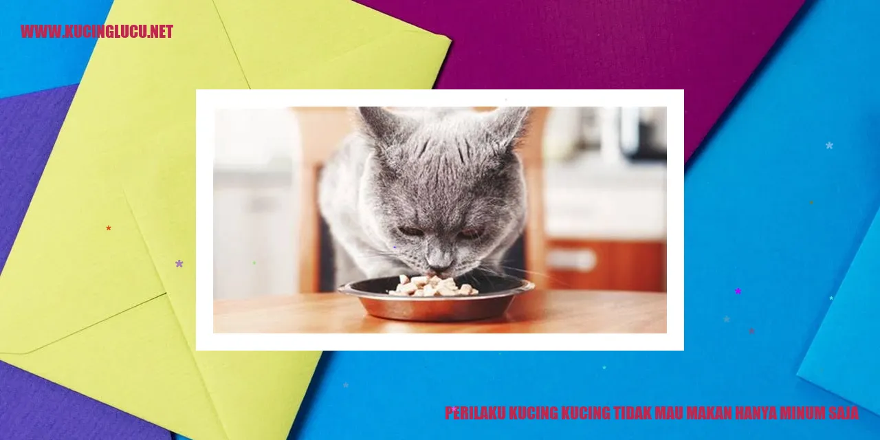 Kucing Minum saja