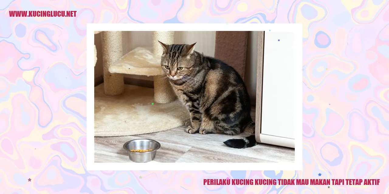 Perilaku Kucing yang Tidak Mau Makan Tapi Tetap Aktif