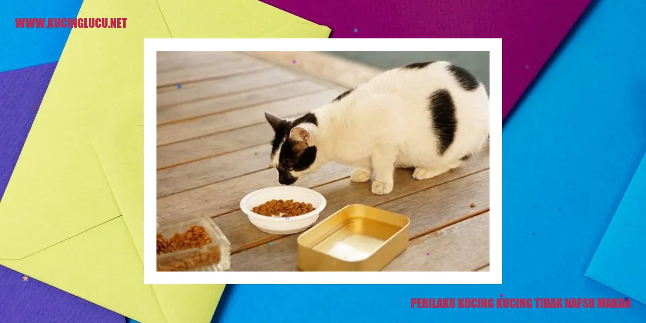 Perilaku Kucing Hilang Selera Makan