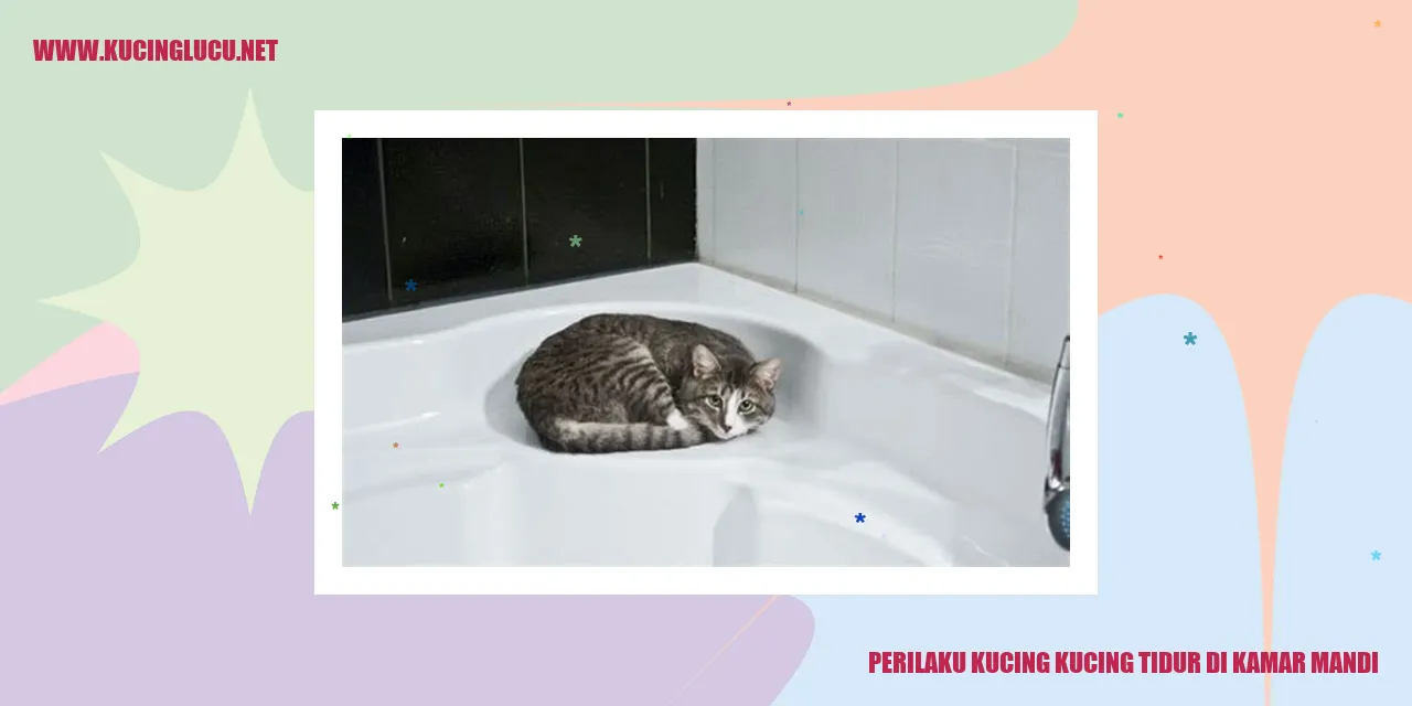 Perilaku Tidur Kucing di Kamar Mandi