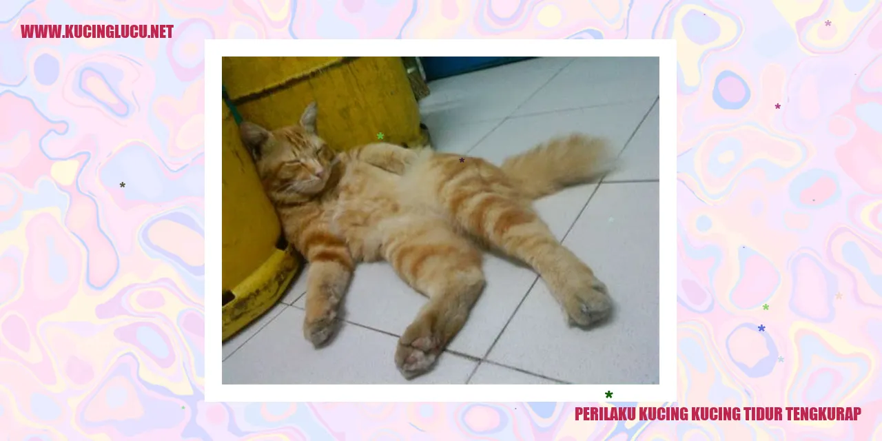 Kucing yang Tidur Tengkurap