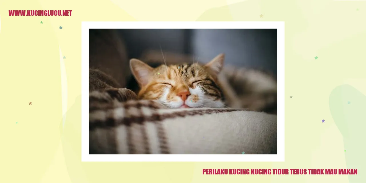 Perilaku Kucing yang Tidur Terus dan Menolak Makan