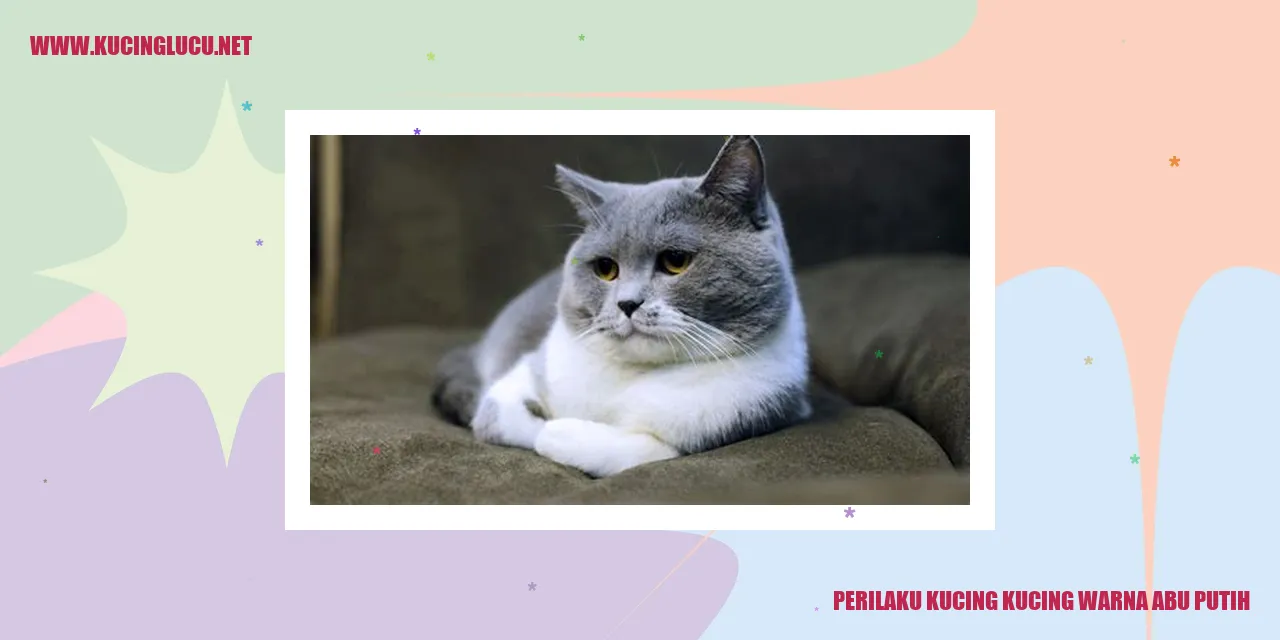 Kucing Abu-Abu Putih yang Menggemaskan