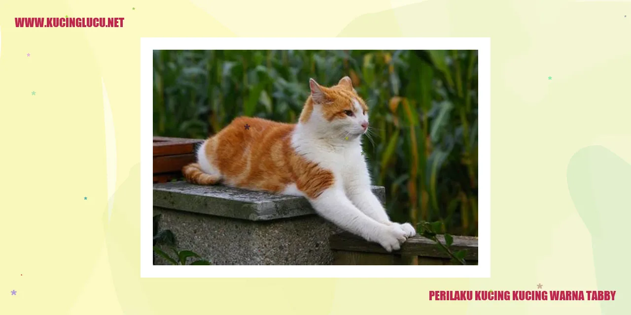 Perilaku Kucing Warna Tabby