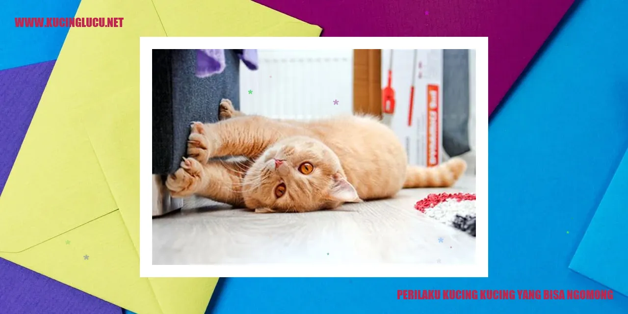 Perilaku Kucing yang Bisa Ngomong