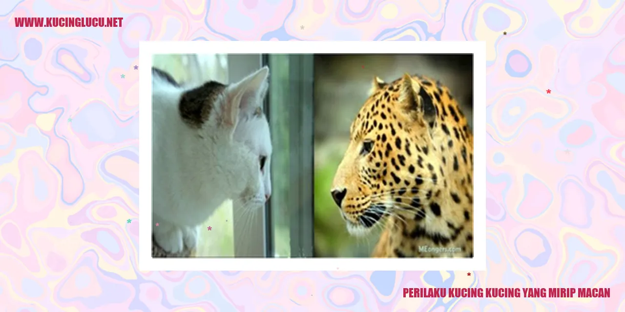 Kucing yang mirip macan