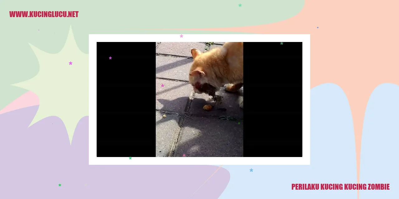 Gambar Menarik Kucing Zombie