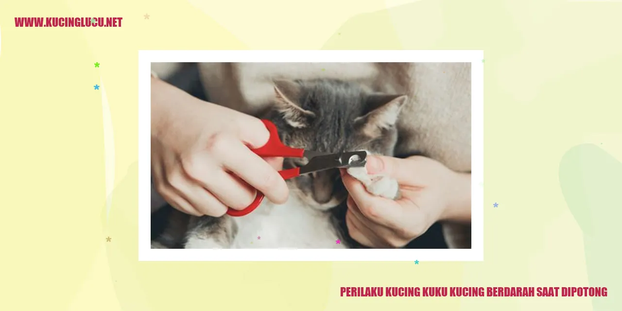 Kucing dipotong kuku