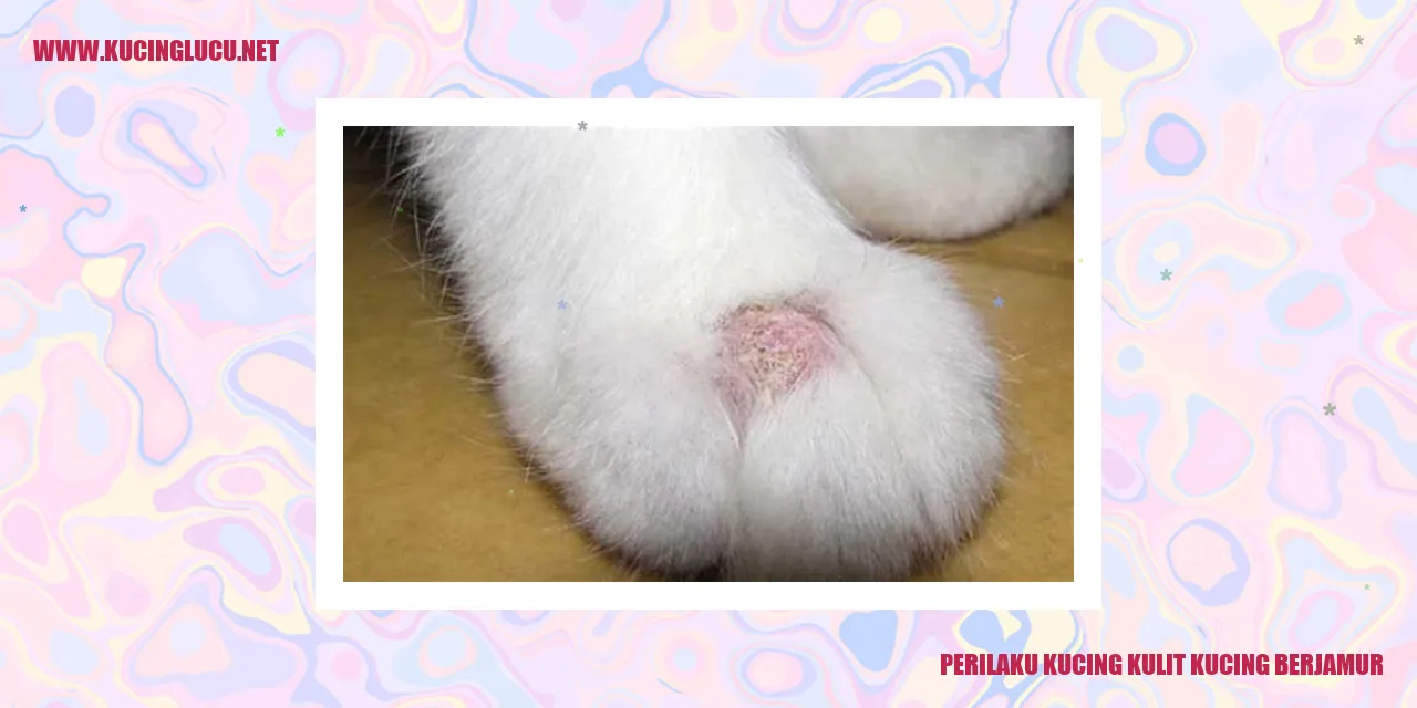 Kucing Bermasalah Kulit