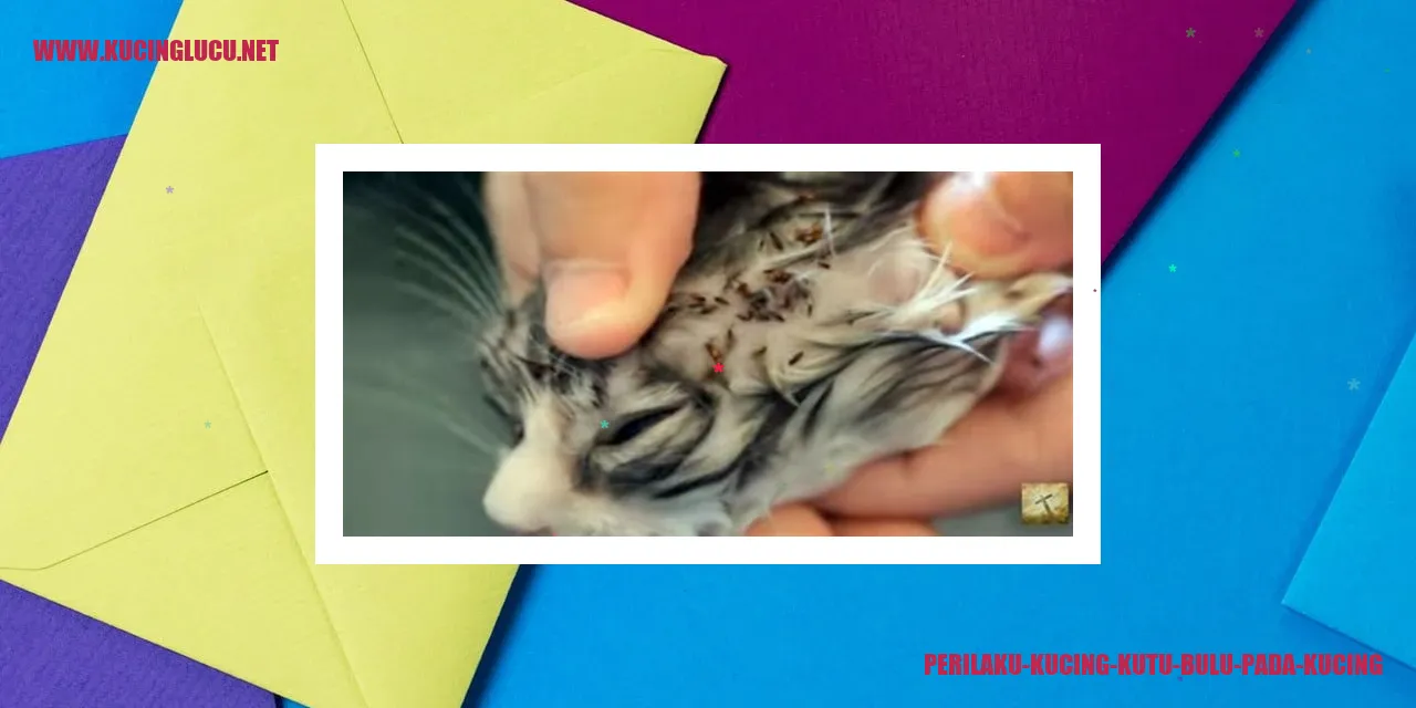 Kucing kutu bulu