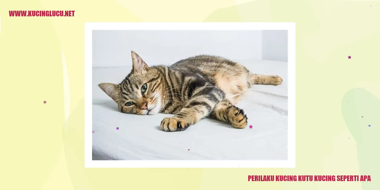 Kucing Kutu Kucing