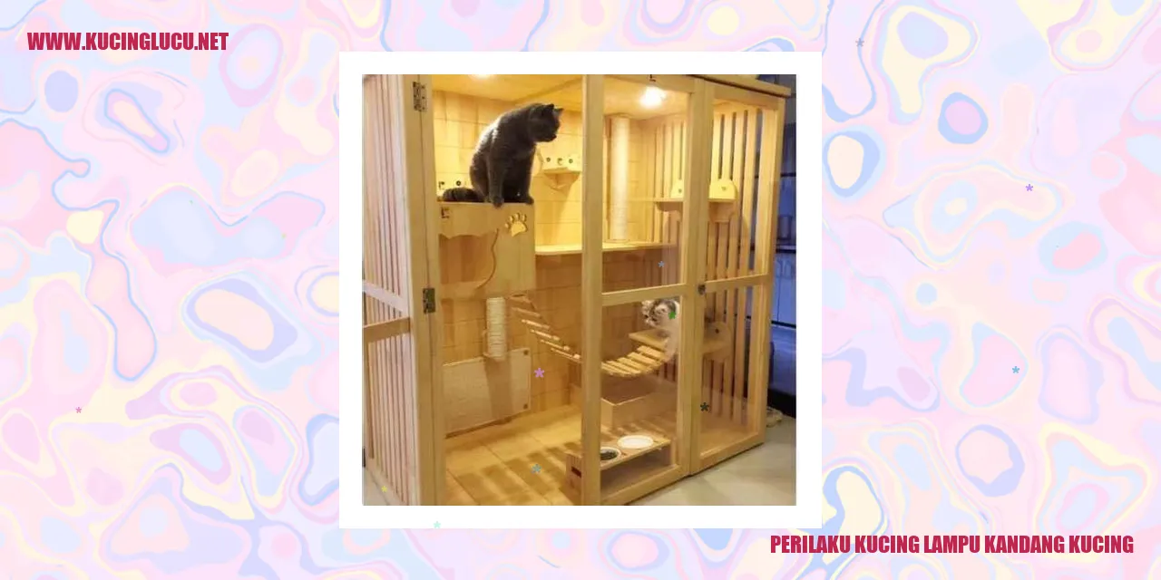 Gambar Kucing dalam Kandang