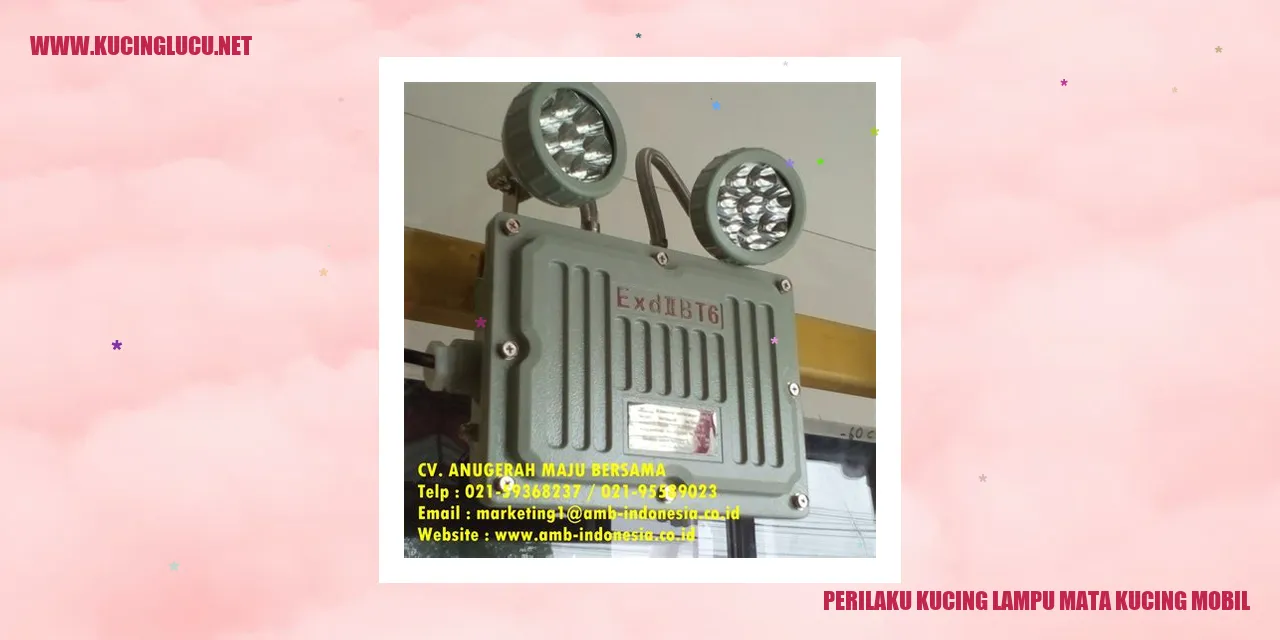Perilaku Kucing lampu mata kucing mobil