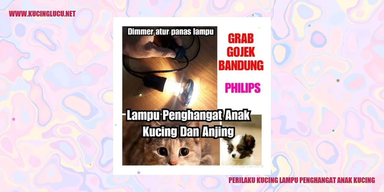 Kucing Anak