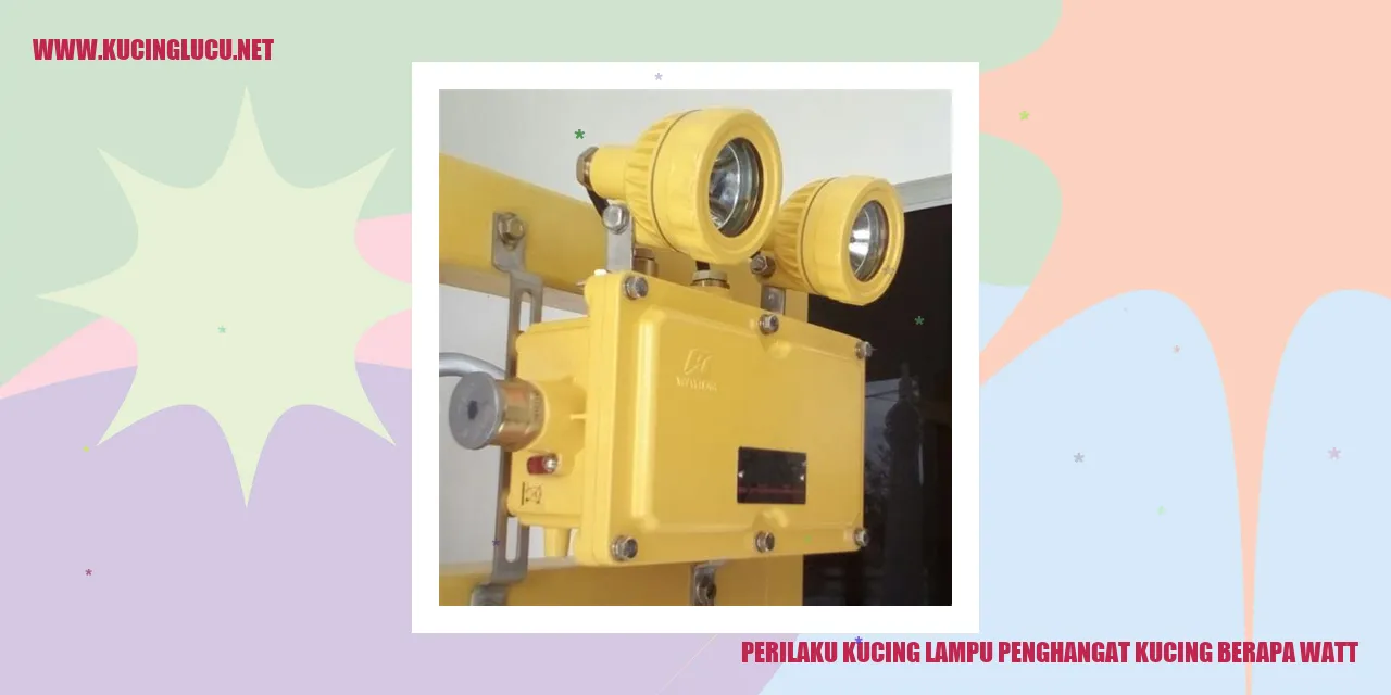Perilaku Kucing dan Lampu Penghangat
