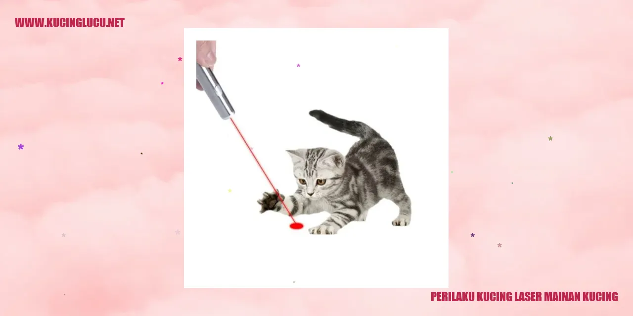 Gambar kucing bermain dengan mainan laser