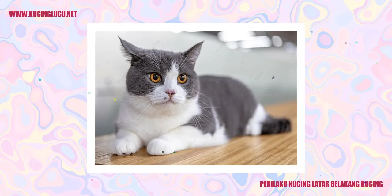 Kucing Tertarik