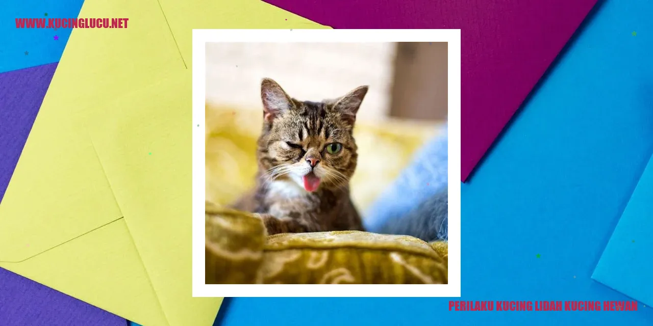 gambar kucing