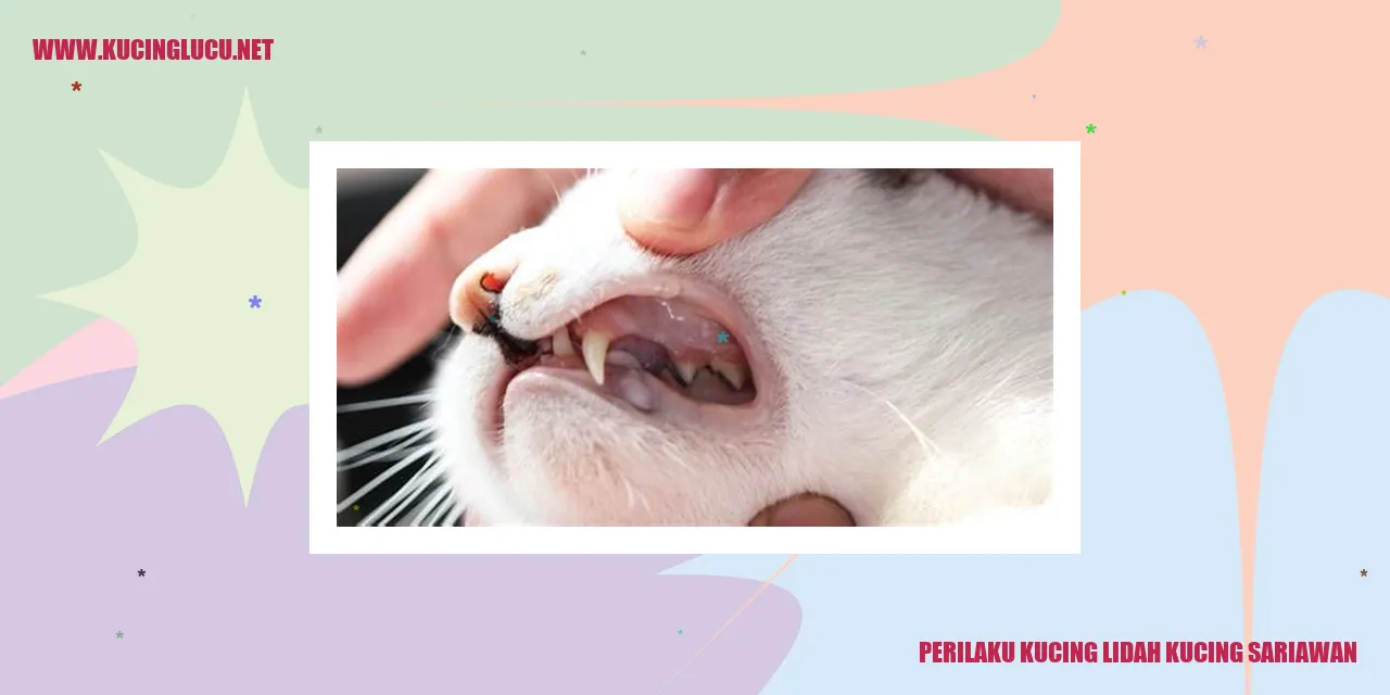 Perilaku Kucing Lidah Kucing Sariawan