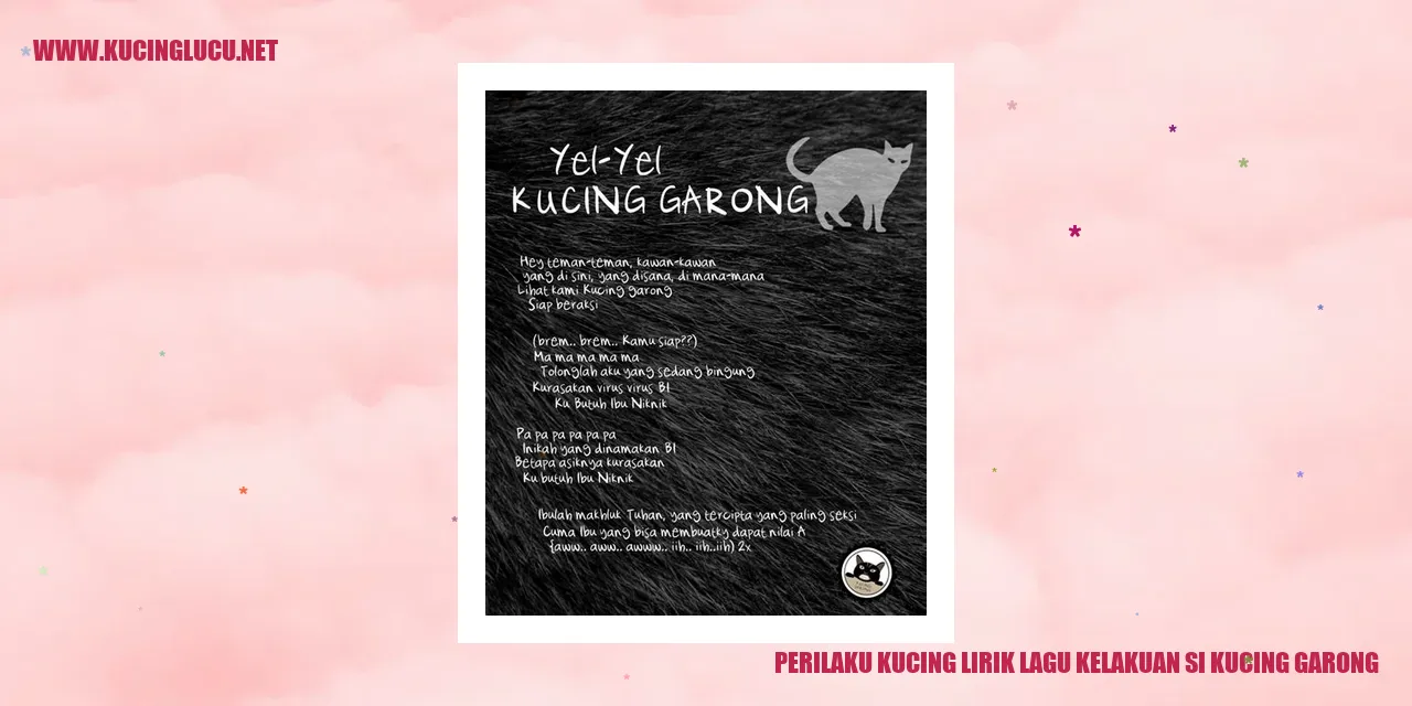 Perilaku Kucing