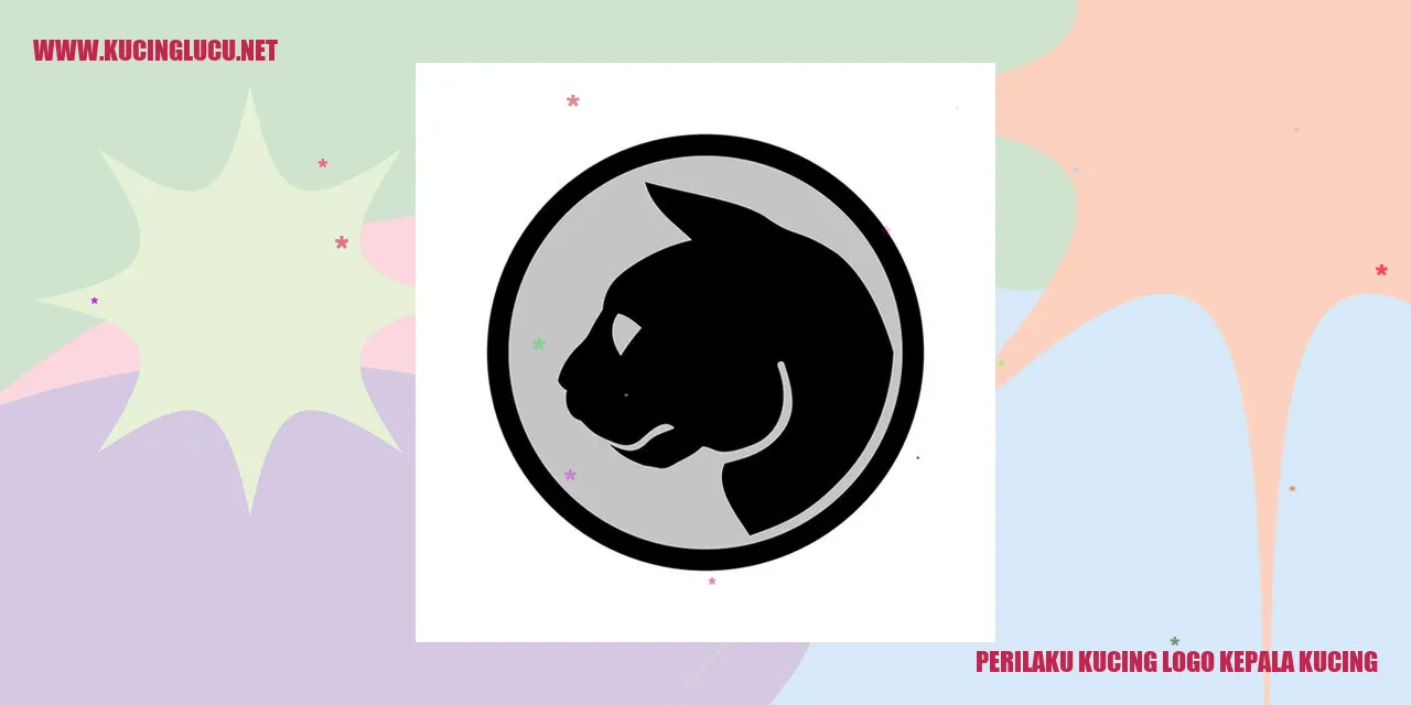 Gambar Kucing yang Unik