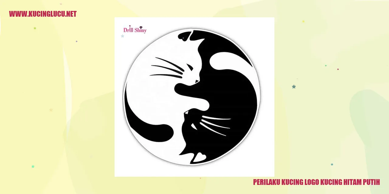 Kucing hitam putih