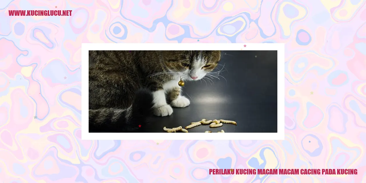 Perilaku Kucing macam macam cacing pada kucing
