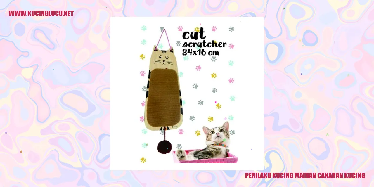Kucing Mainan Cakaran Kucing