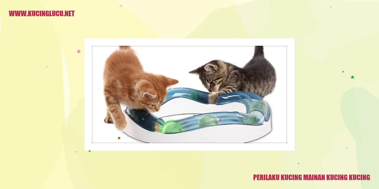 Gambaran prilaku kucing mainan yang menghibur