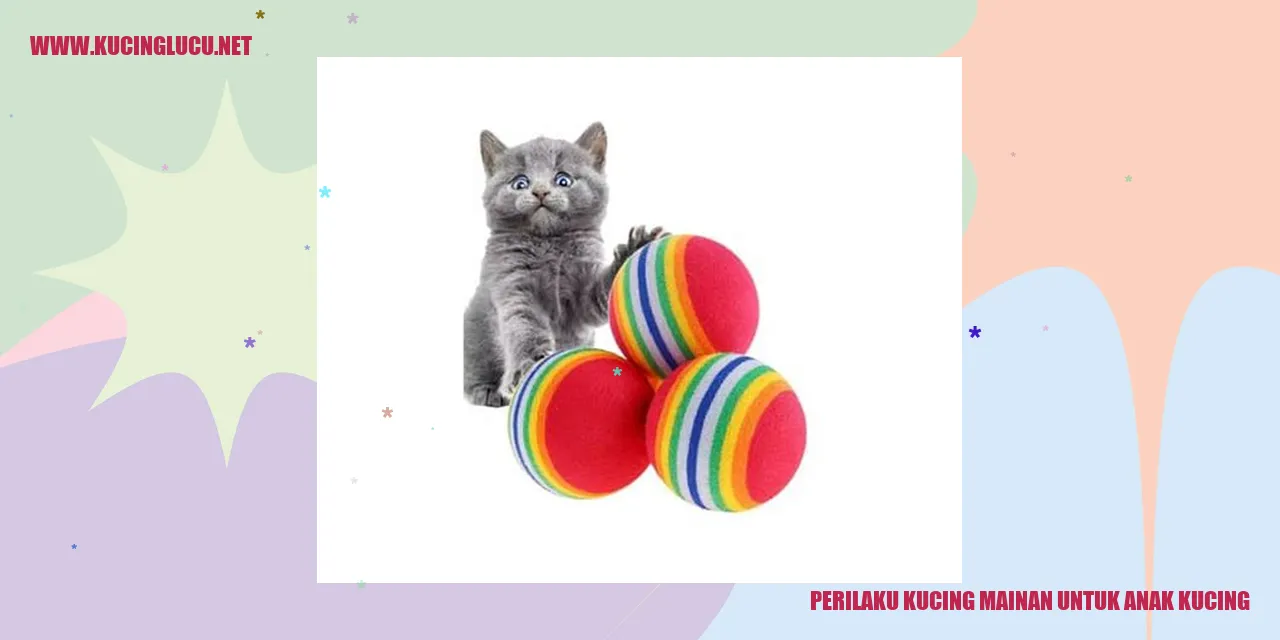 Perilaku Kucing Mainan untuk Anak Kucing