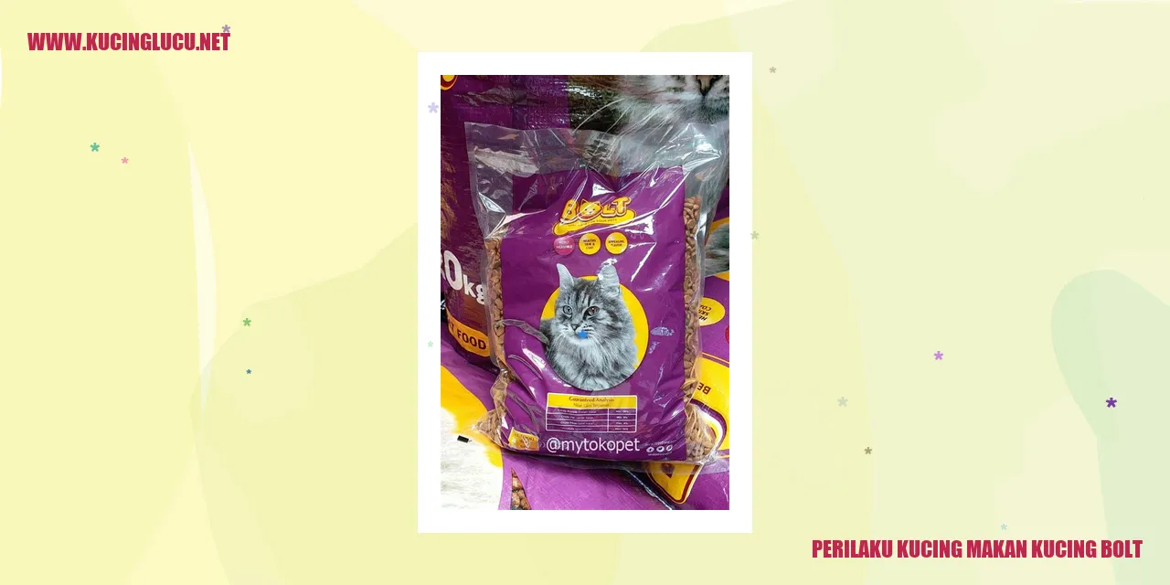 Perilaku Kucing Menyantap Sesama Kucing