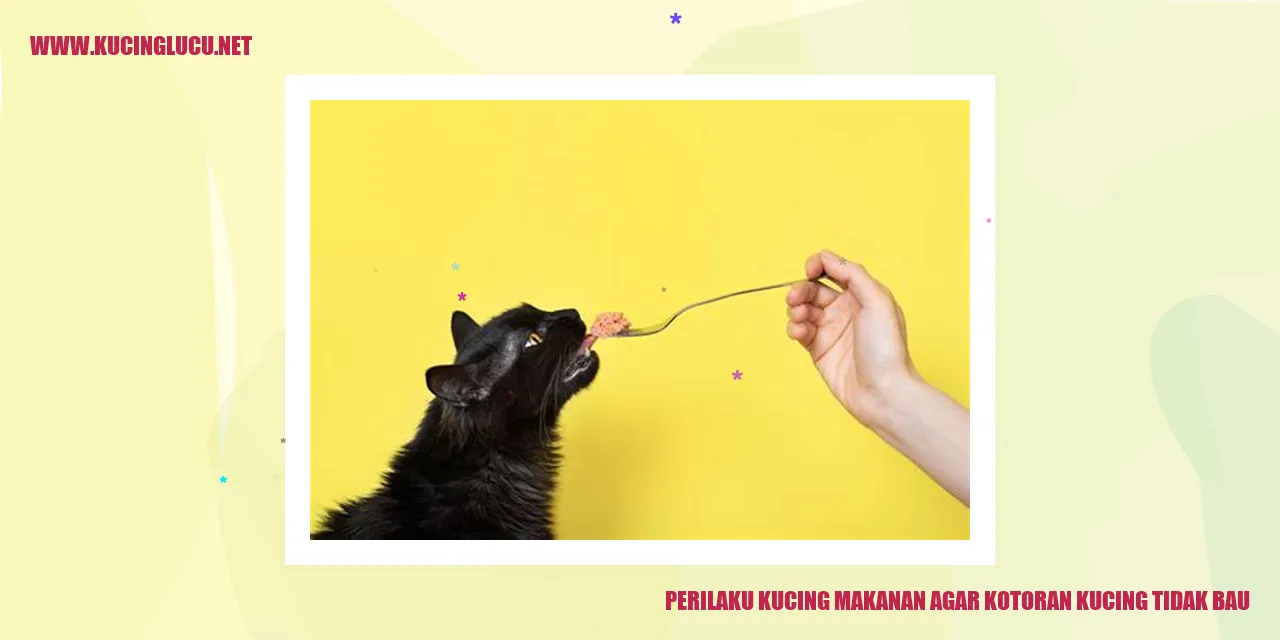Perilaku Kucing makanan agar kotoran kucing tidak bau