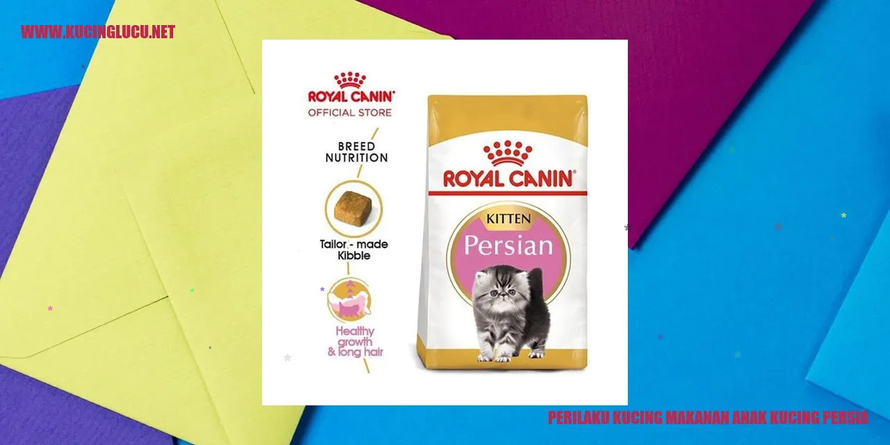 Perilaku Kucing makanan anak kucing persia