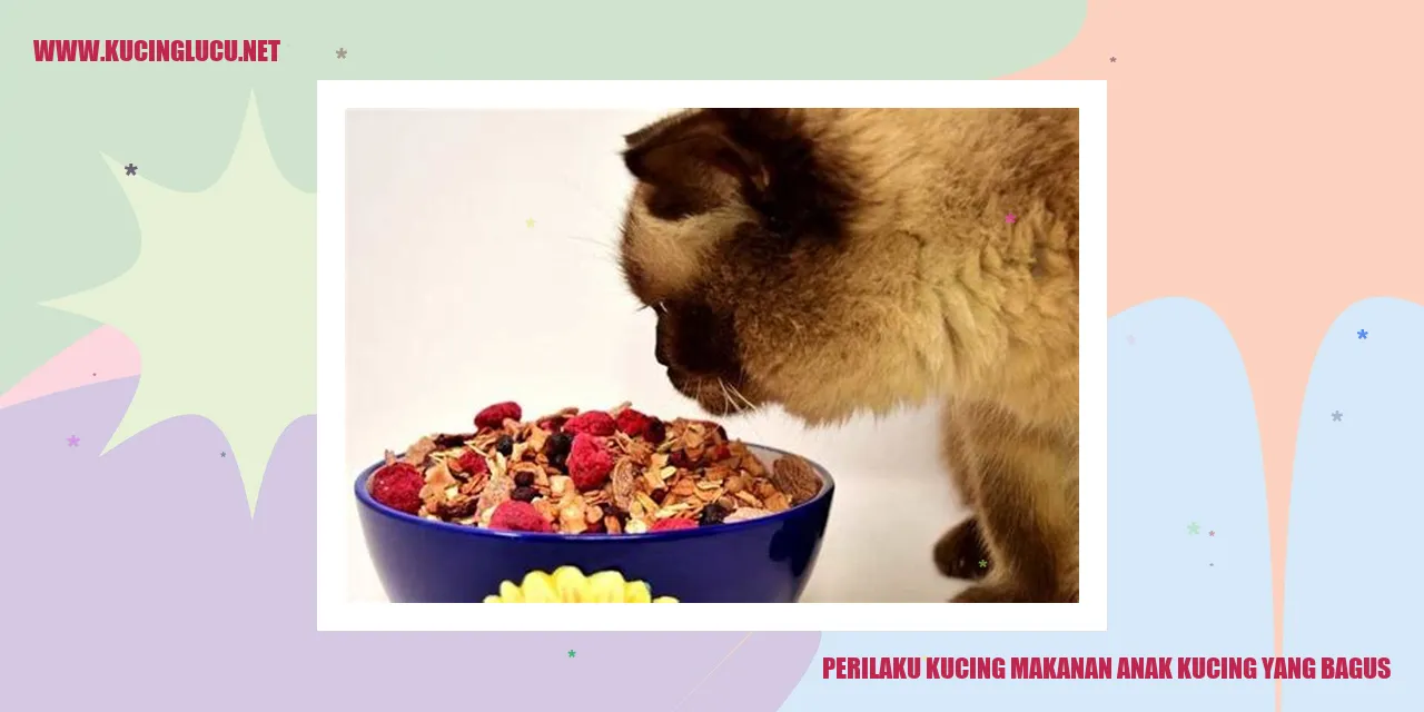 Kucing memilih makanan anak kucing yang bagus