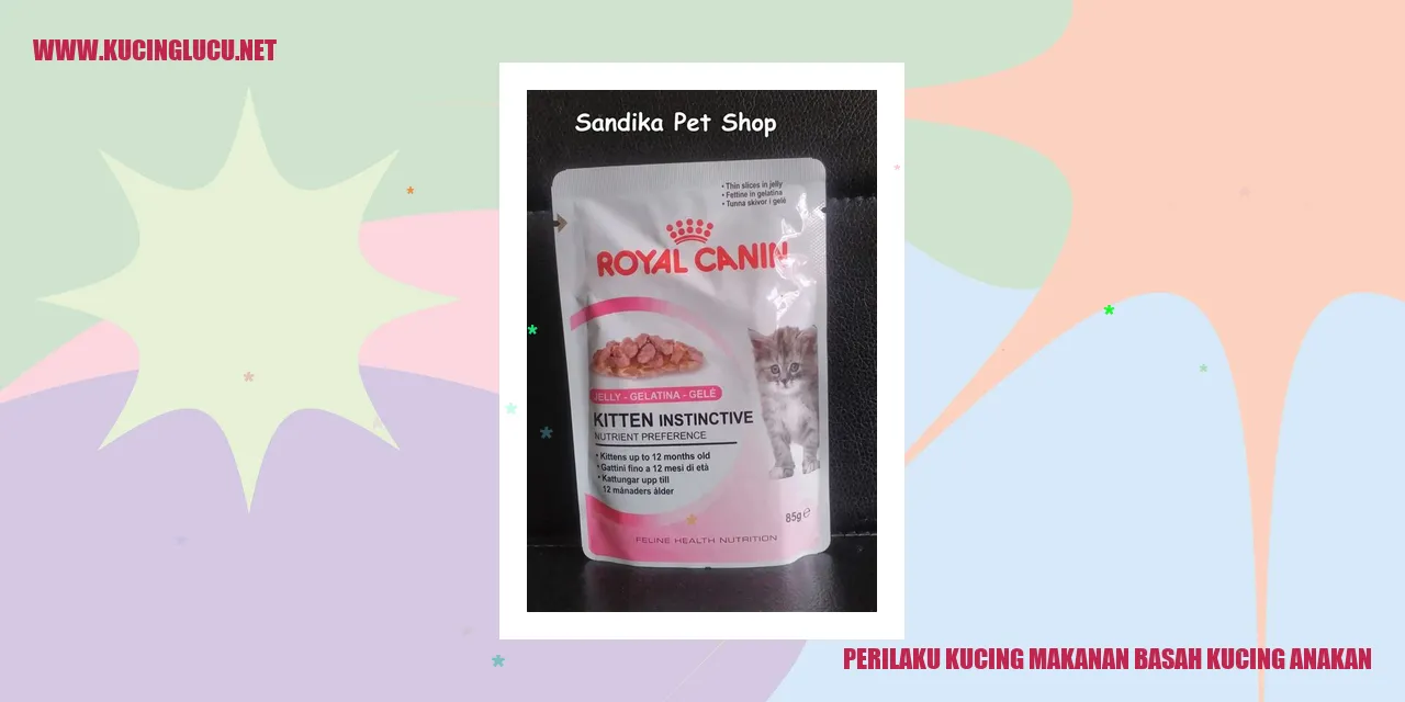 Perilaku Kucing saat Makanan Basah untuk Kucing Anakan