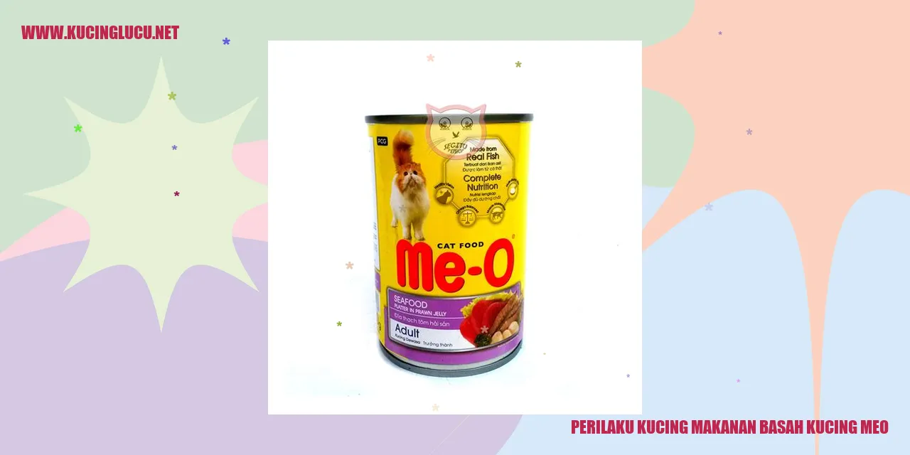 Gambar Kucing Makanan Basah Kucing Meo