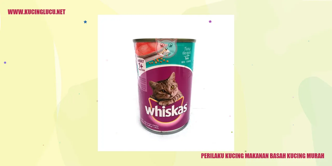 Perilaku kucing terhadap makanan basah kucing murah