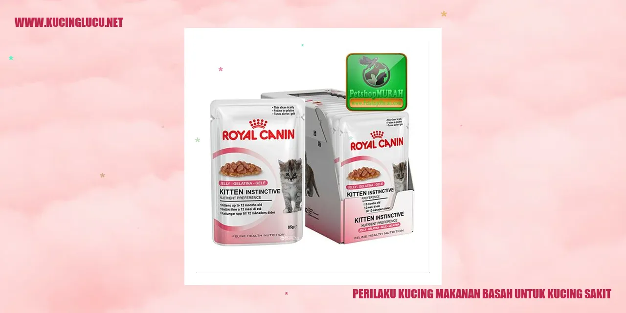 Perilaku Kucing Makanan Basah
