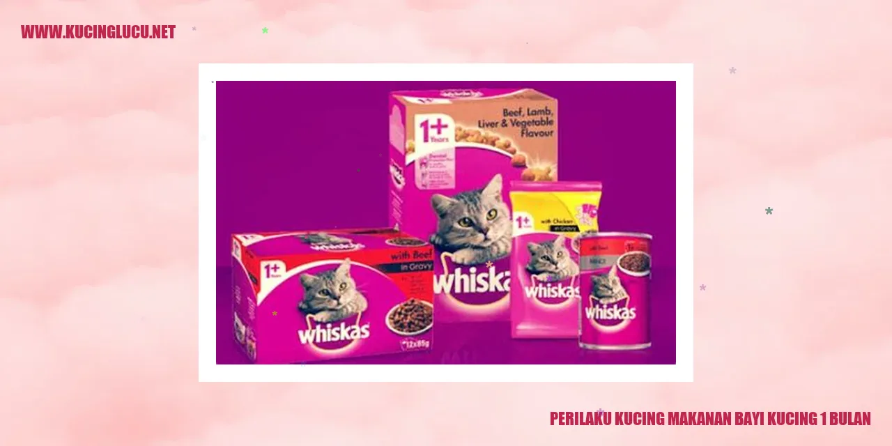 Perilaku Kucing Makanan Bayi Kucing 1 Bulan