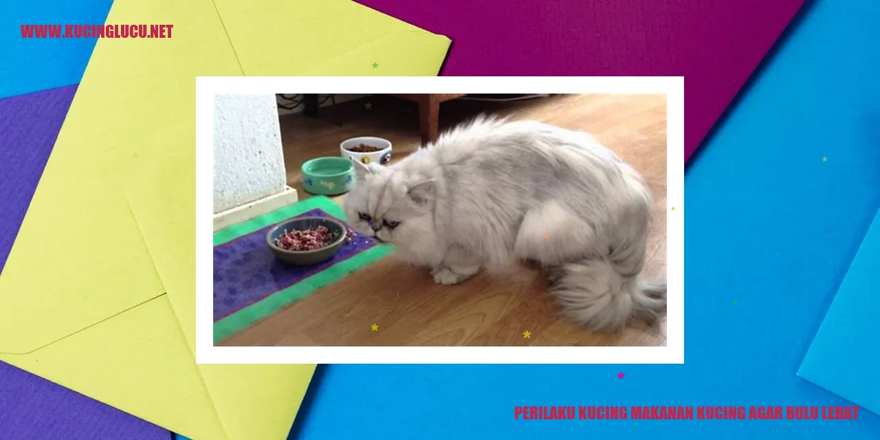 Perilaku Kucing Makanan Kucing Agar Bulu Lebat