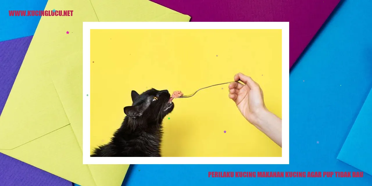 gambar kucing makan