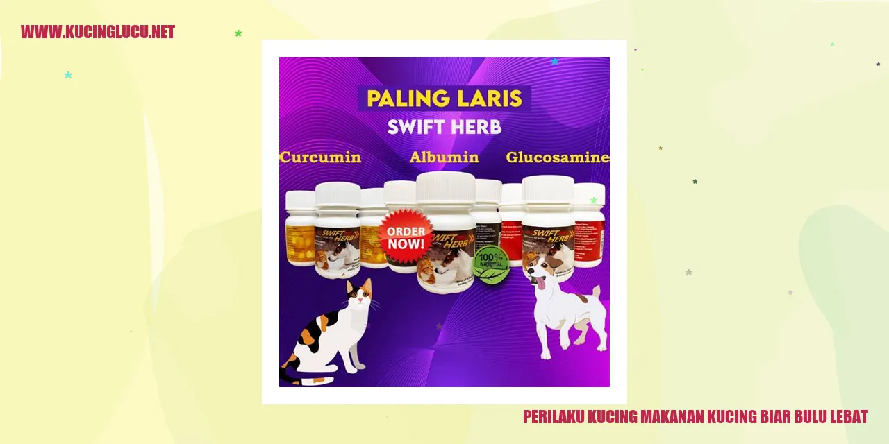 Perilaku Kucing dan Makanan Bulu Lebat