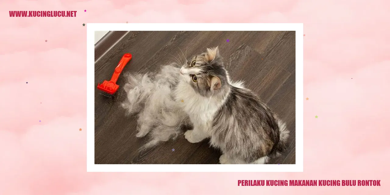 Gambar Kucing yang Memakan Bulu Rontok