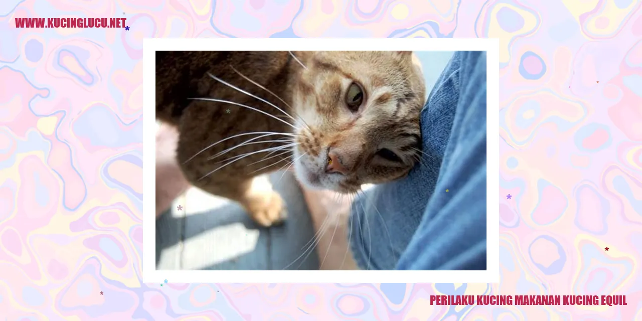 Perilaku Kucing dengan Makanan Kucing Equil