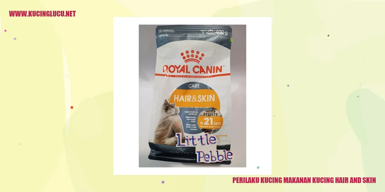 Gambar Kucing Saat Mengonsumsi Makanan Rambut dan Kulit