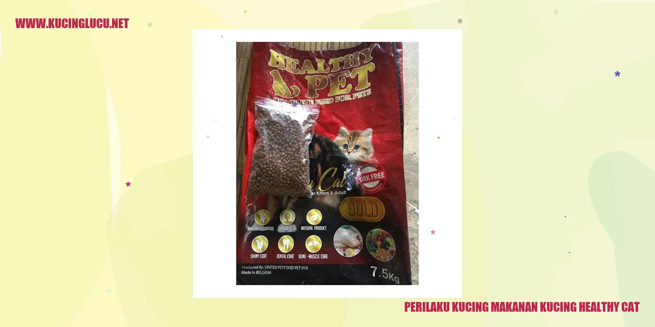 Perilaku Kucing makanan kucing healthy cat