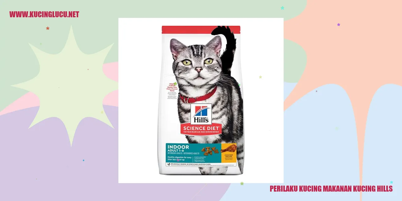 Perilaku Kucing saat Mengonsumsi Makanan Kucing Hills