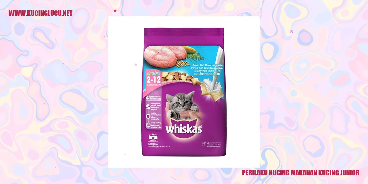 Perilaku Kucing Mengonsumsi Makanan Kucing Junior