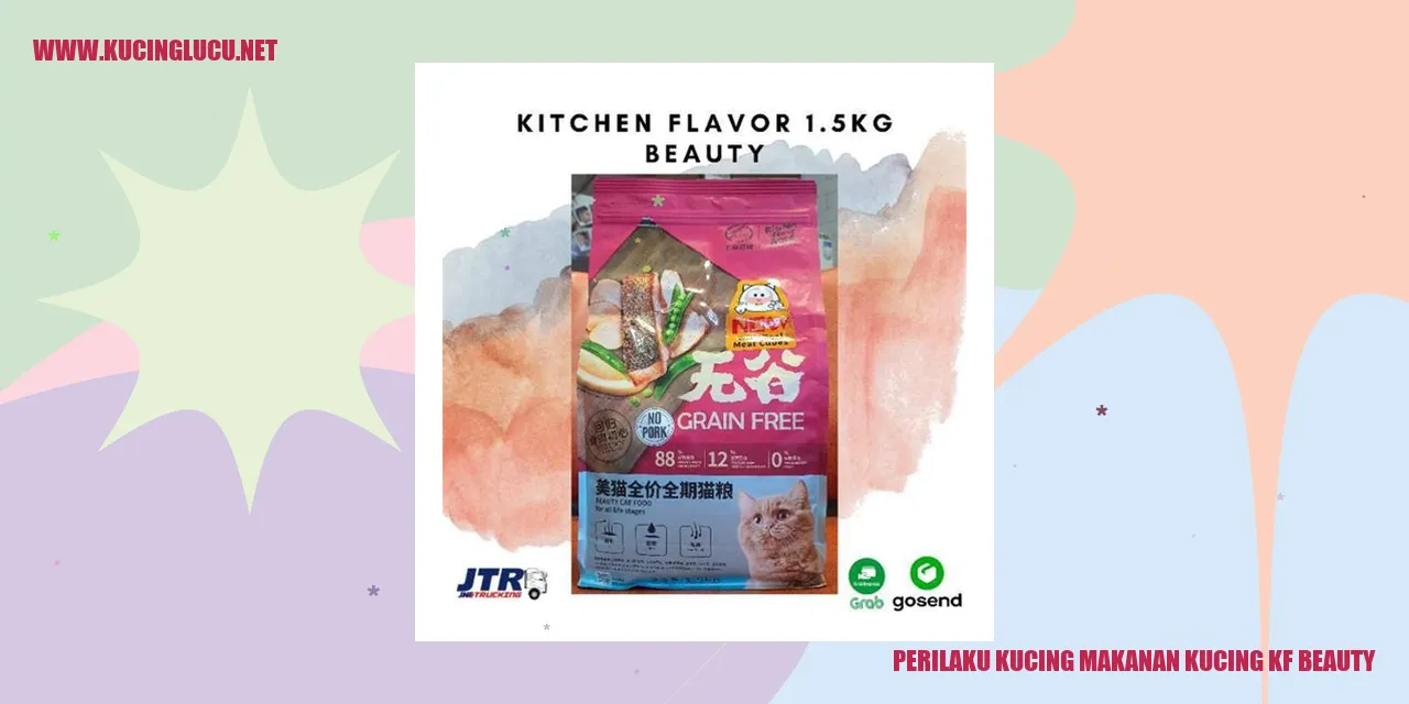 Gambar seekor kucing sedang menikmati makanan KF Beauty