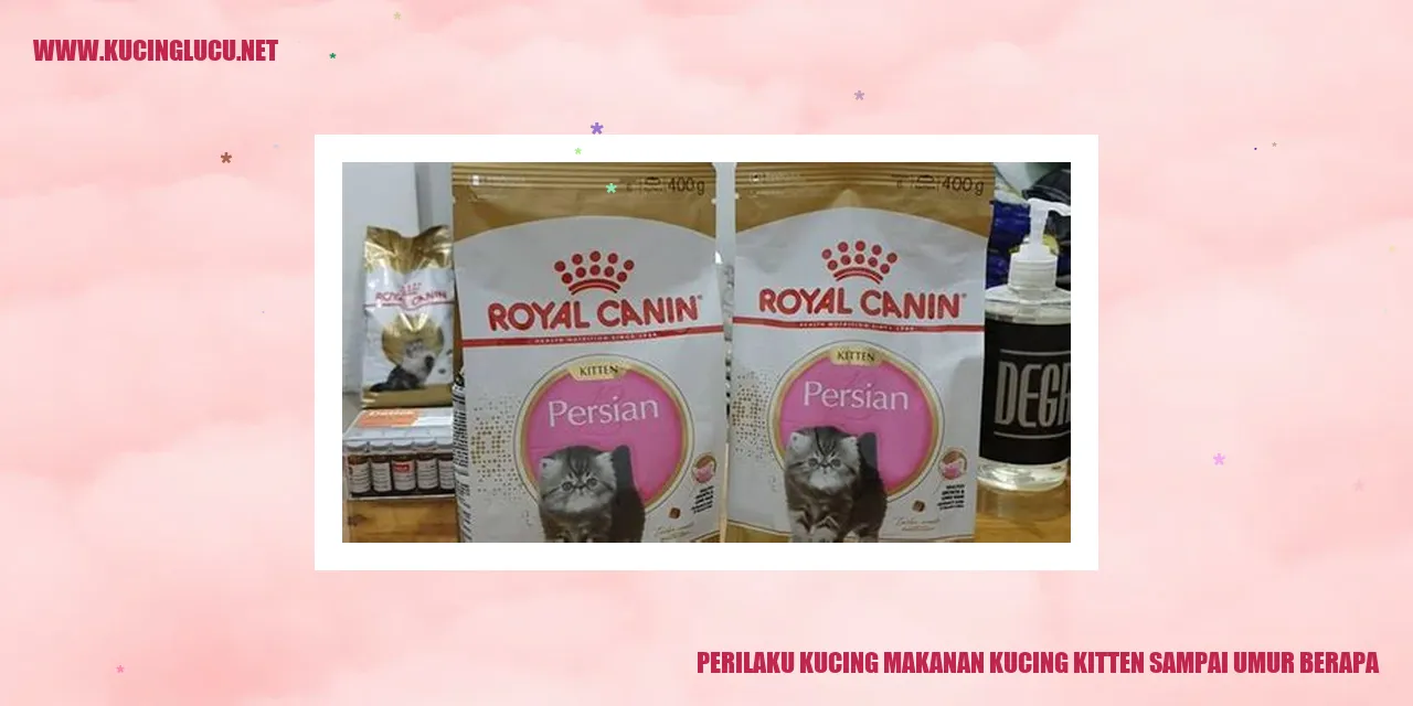 Perilaku Kucing